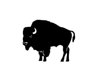 Buffalo vector