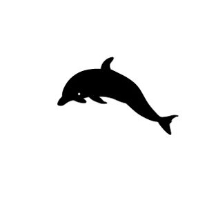 Dolphin vector