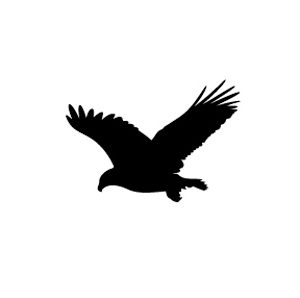 Eagle vector