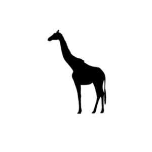 Giraffe vector