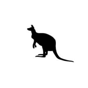 Kangaroo vector