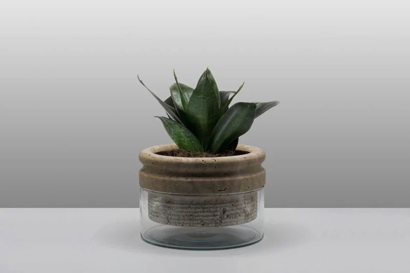 Sponge Flowerpot by Moreno Ratti