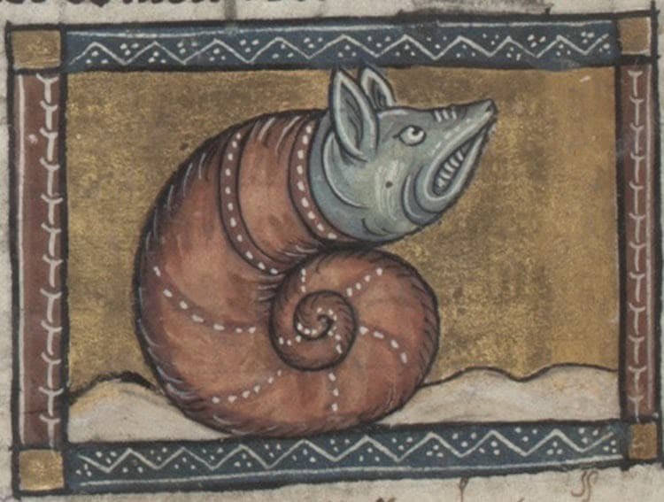 Hilarious Medieval Paintings of Animals Never Seen by the Artists