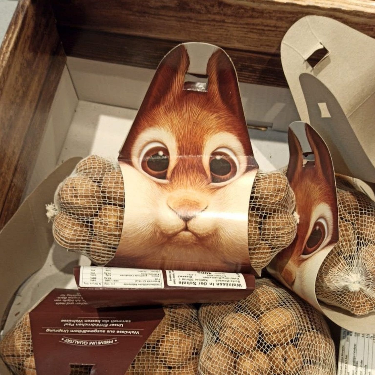 A Lovely Nuts Packaging Shaped As A Squirrel