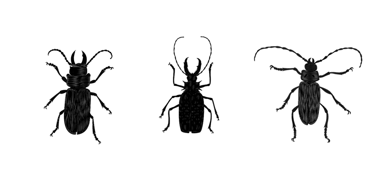 free vector bugs