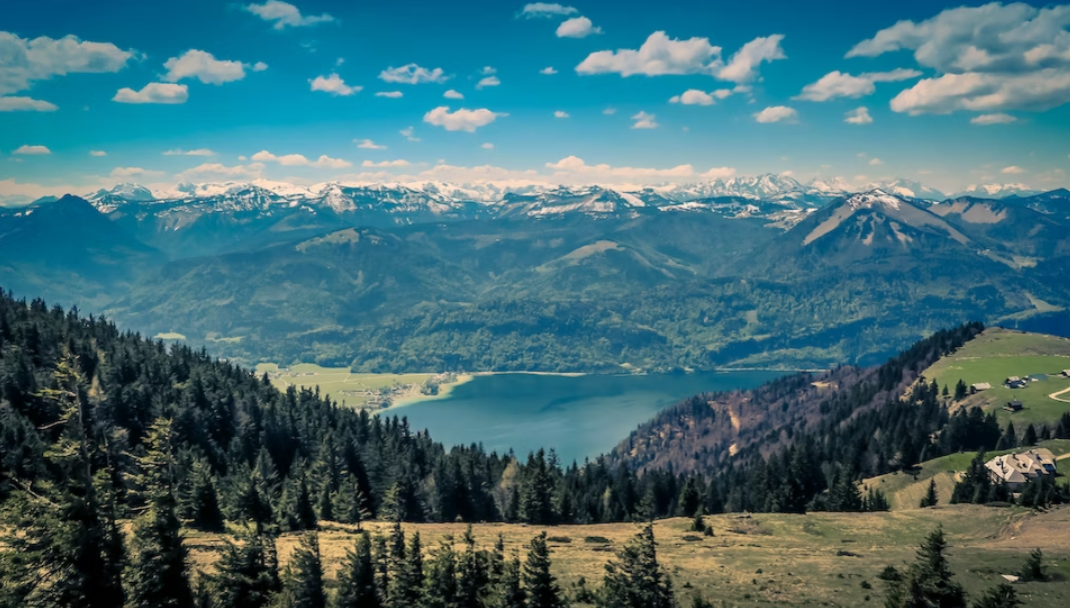 VanceAI Image Upscaler: Unlocking the Power of High-Resolution Images