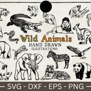 Wild Animals Illustration Vector Pack